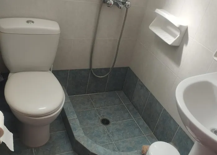 Апартаменты Delfinaki Lionas